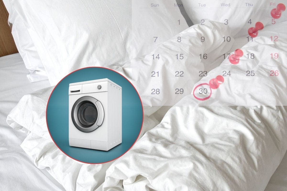 piumone sul letto con cornice e una lavatrice all'interno e un calendario