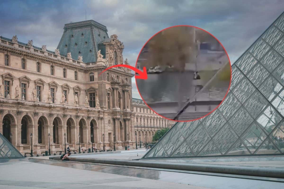 Louvre con screen furto
