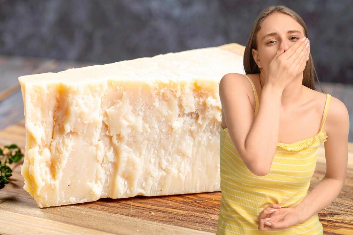 Il web è senza parole, scoperto come si produce il parmigiano: “Davvero lo fanno così? Non lo mangio più!”